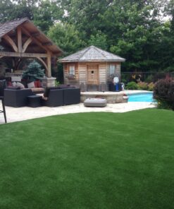 Artificial Turf and Accessories